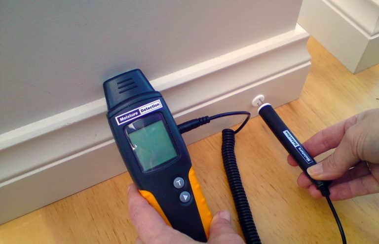 Moisture meter used during a mold inspection