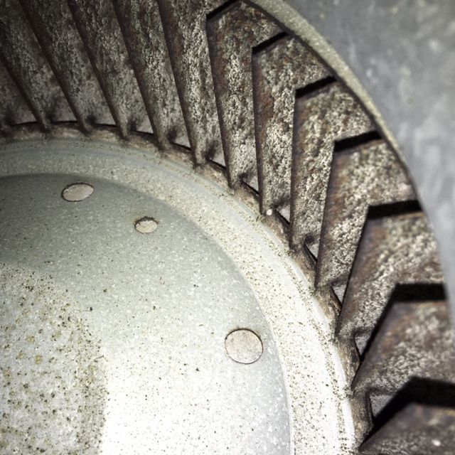 Dust and mold-like deposits on HVAC blower wheel blades