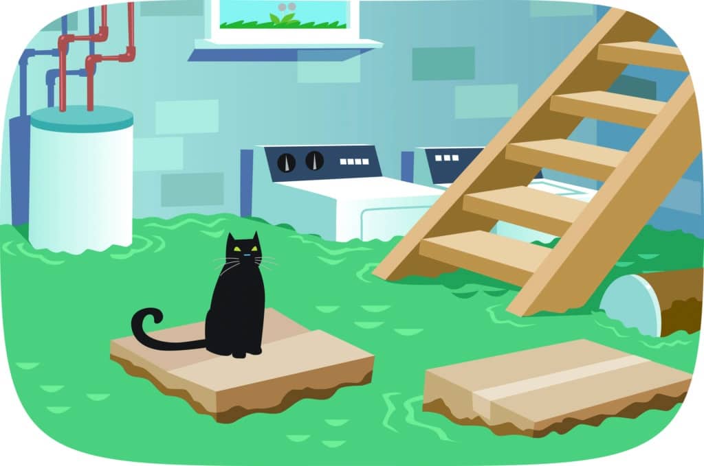 Basement Air Quality